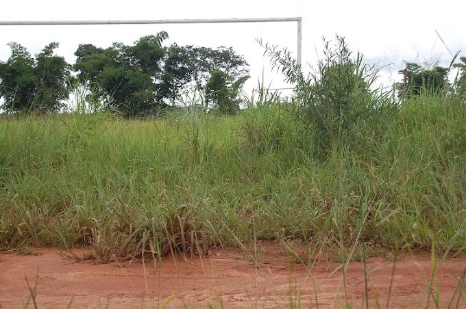 Sem campo de futebol crianças e jovens pararam com as práticas esportivas