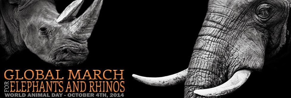 http://www.march4elephantsandrhinos.org/#!