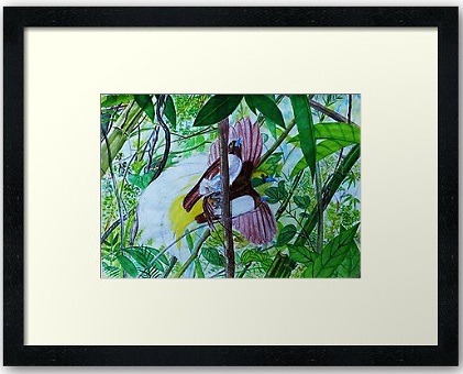 watercolour painting of Lesser Birds of Paradise