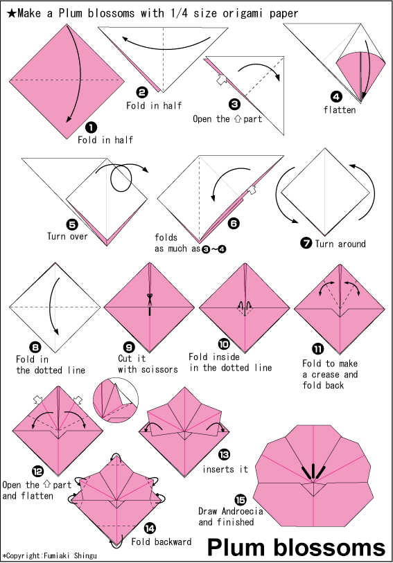  Cara  Membuat  Origami  Bunga  Plum Korea Cara  Membuat  