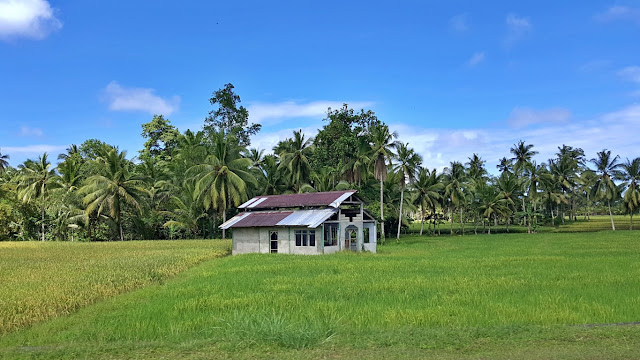 a beautiful house in the ricefields of Hinatuan, Surigao Del Sur