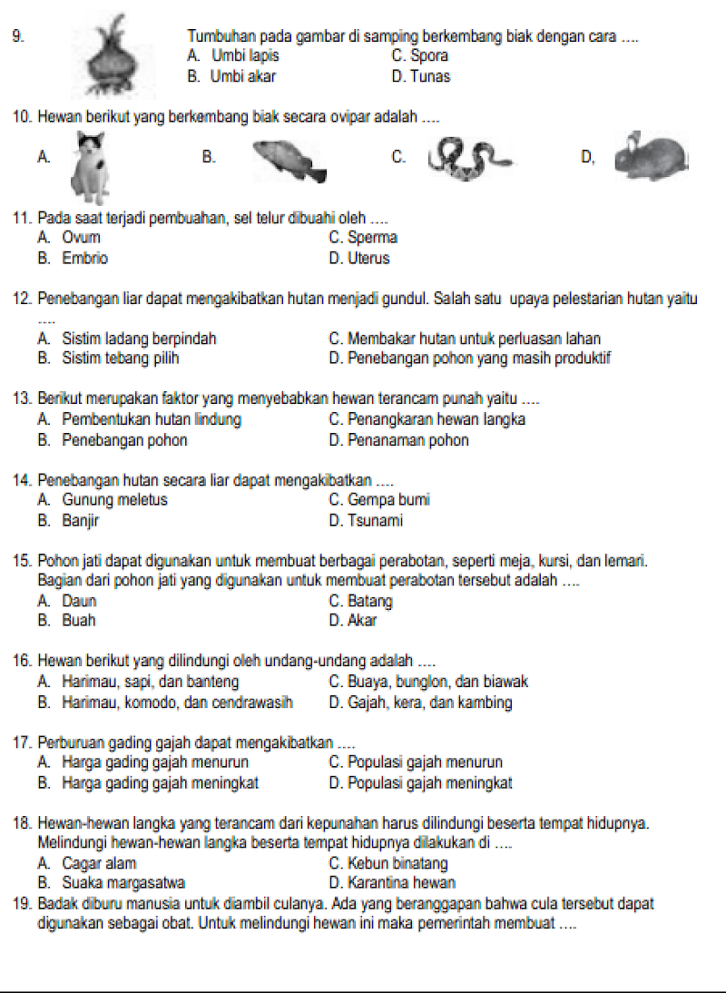 Terbaru 35+ Soal Ulangan Kelas 6