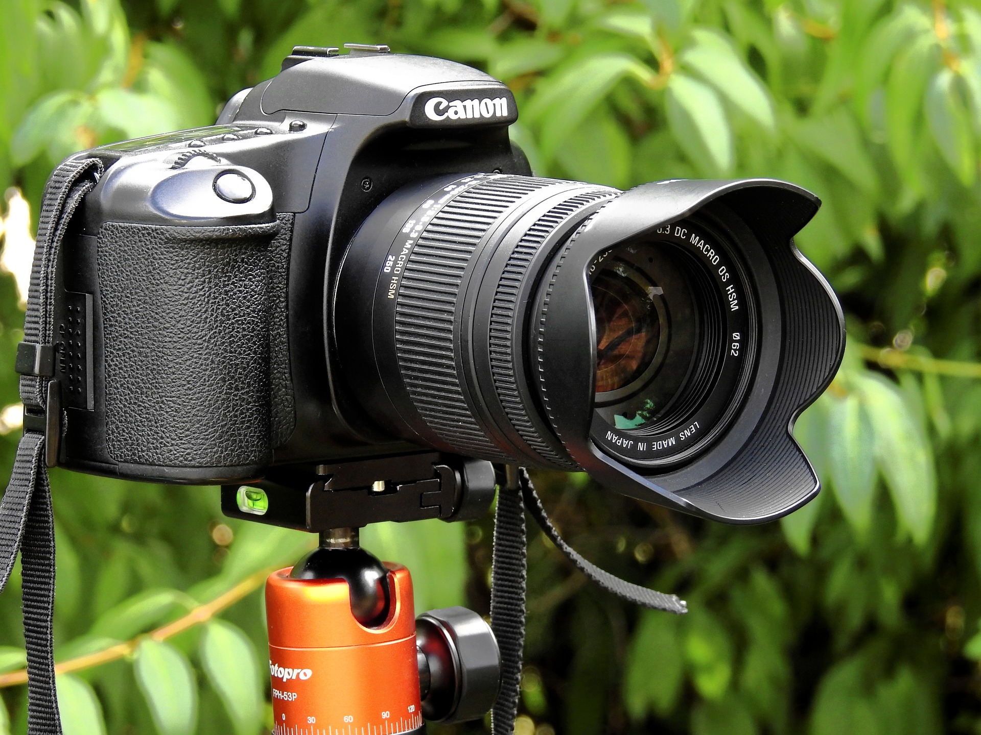 Top 10 digital slr cameras