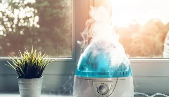 Humidifier in the Bedroom: Where to Place it and How to Improve Your Health