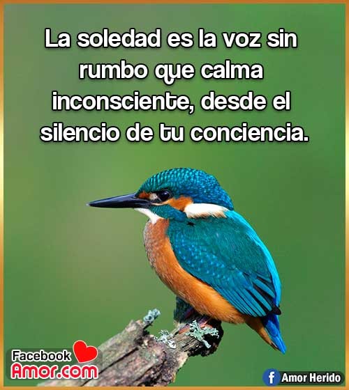 lindas frases soledad