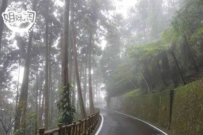 高雄旅遊,藤枝森林遊樂區,親子旅遊,藤枝開放,藤枝住宿