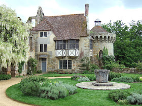 The right way to prune a wisteria vine