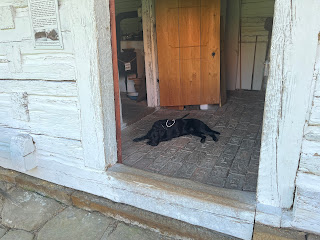 Esmee ligt ontspannen op de vloer van een oud gebouw; je ziet haar door de deuropening.