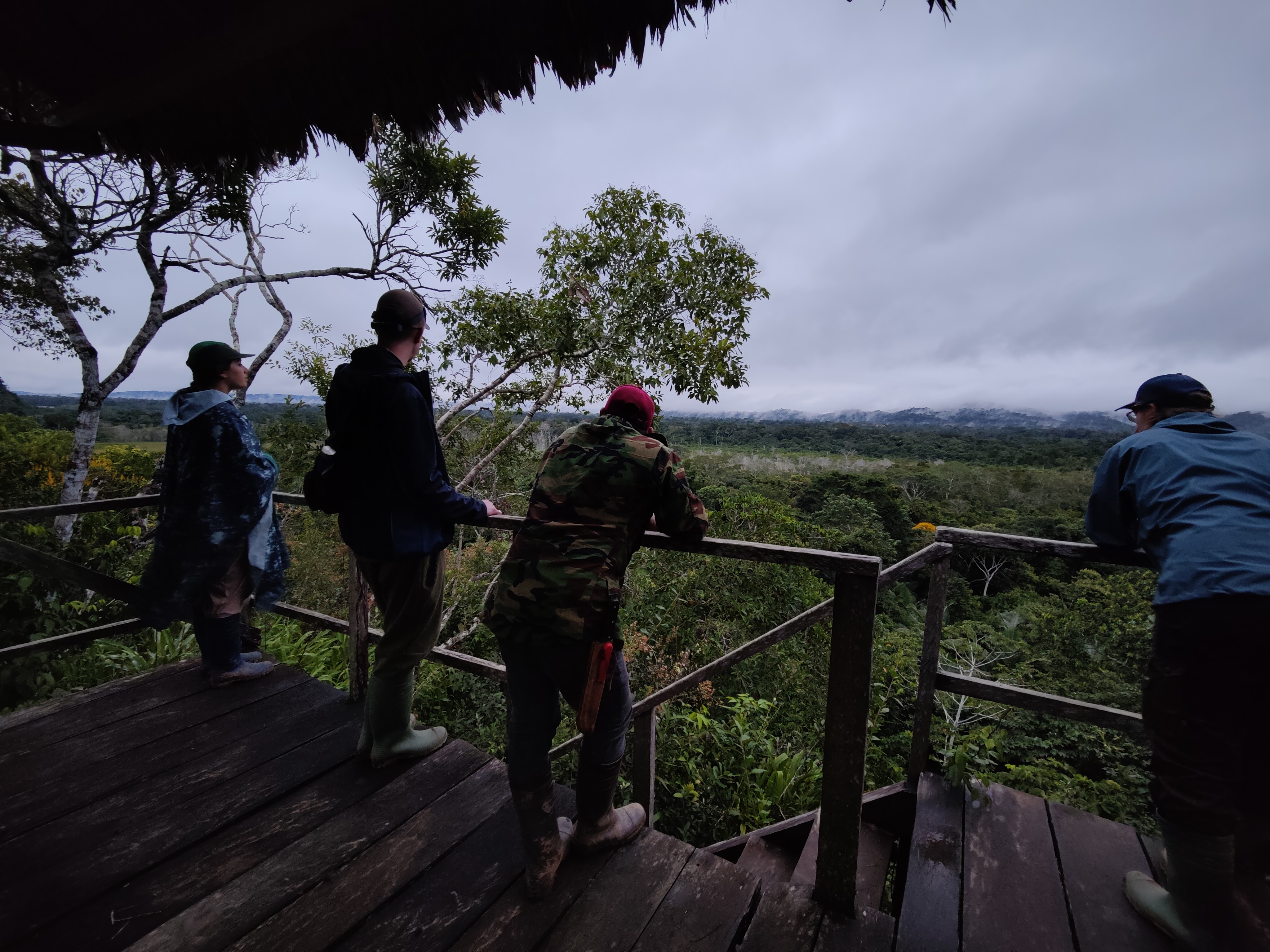 Madidin kansallispuisto, Amazon
