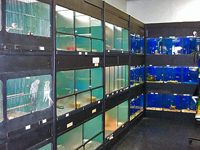 Fish Aquariums  Download Photos