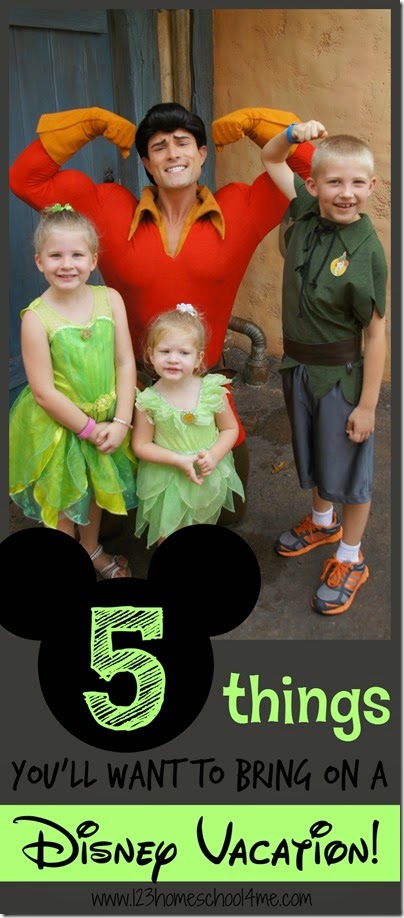 5 Things you'll want to bring on a Disney Vacation - great Disney tips for family vacation. You wont' want to forget these!!!
