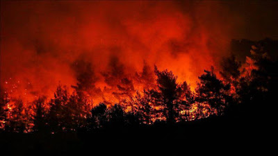 wildfires, incendios forestales