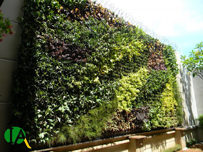 Desain Taman Vertikal (Vertical garden) Dari Tukang Taman Jakarta