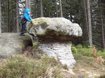 Sudety, Góry Stołowe, atrakcje turystyczne Gór Stołowych, Skalne Grzyby