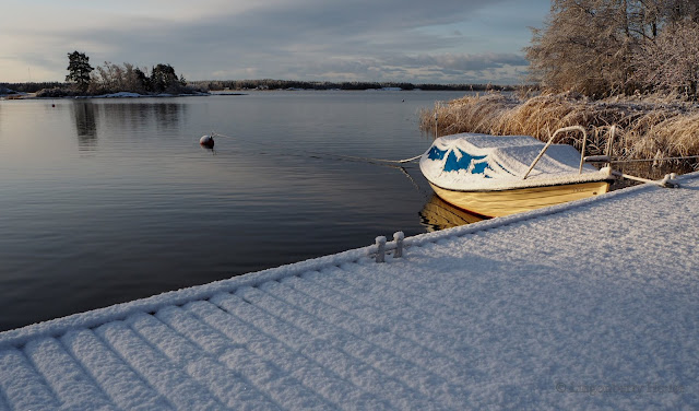 lingonberryhouse, ensilumi, first snow, winter, talvi