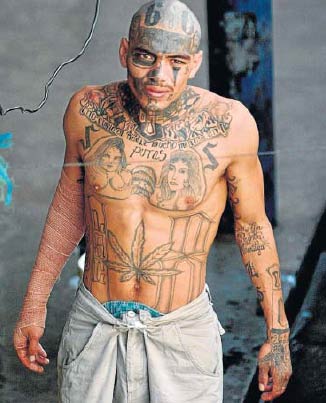 Tattoos the Drug War