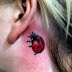 Ladybug Tattoos