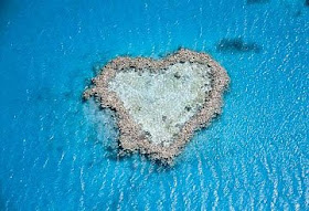 coração coral heart reef