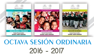 Octava sesión ordinaria CTE 2016-2017