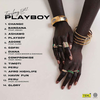 Album | Fireboy DML - Playboy