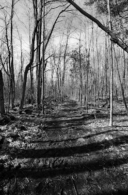 Toronto Bruce Trail pathway.