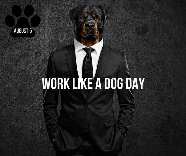 Work Like a Dog Day