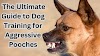  The Ultimate Guide to Dog Training for Aggressive Pooches