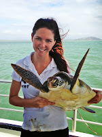 Christine Hof and green turtle