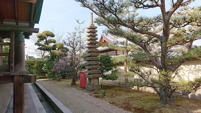 蓮土山　道明寺(藤井寺市)