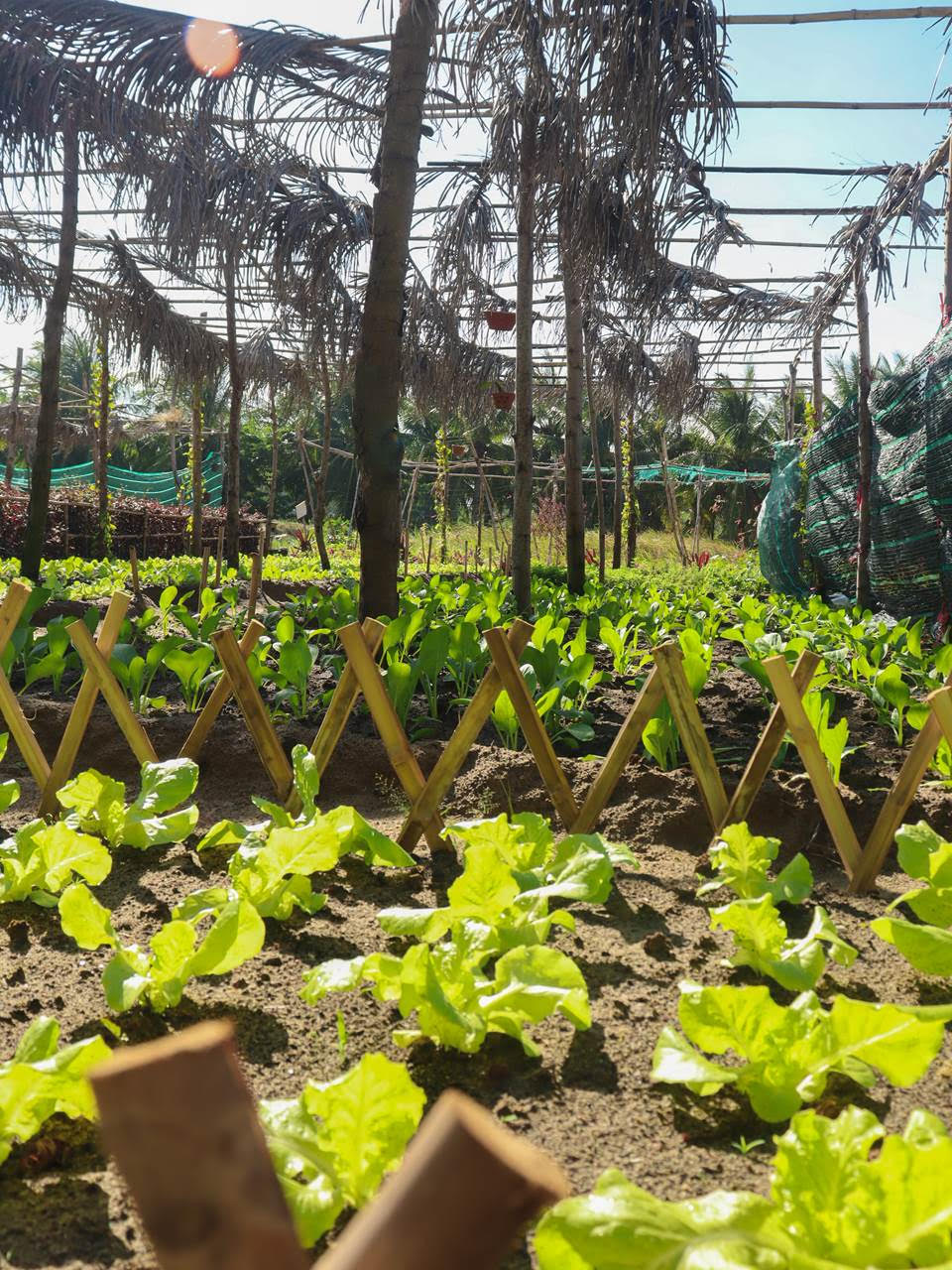 Resort’s New Sustainable Farm Feeds Mouths and Minds