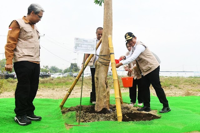 Penanaman Pohon Serentak Dilakukan di Kawasan Sport Centre, Ini Alasannya