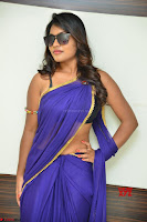 Actress Priya in Blue Saree and Sleevelss Choli at Javed Habib Salon launch ~  Exclusive Galleries 027.jpg