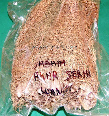 akar serai wangi