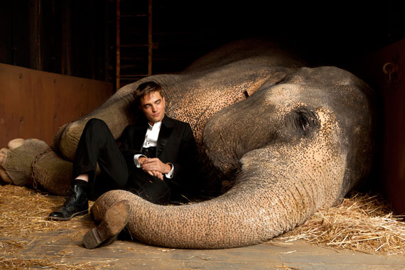 Water for Elephants, Photograph
