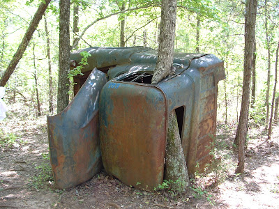 I love this picture.  I shot this photo in 2003 at 'Georgia's Little Grand Canyon.'  The canyon itself is only about 150 years old-- the result of poor farming practices by cotton farmers.  Some other week, I'll post a photo of the canyon itself.