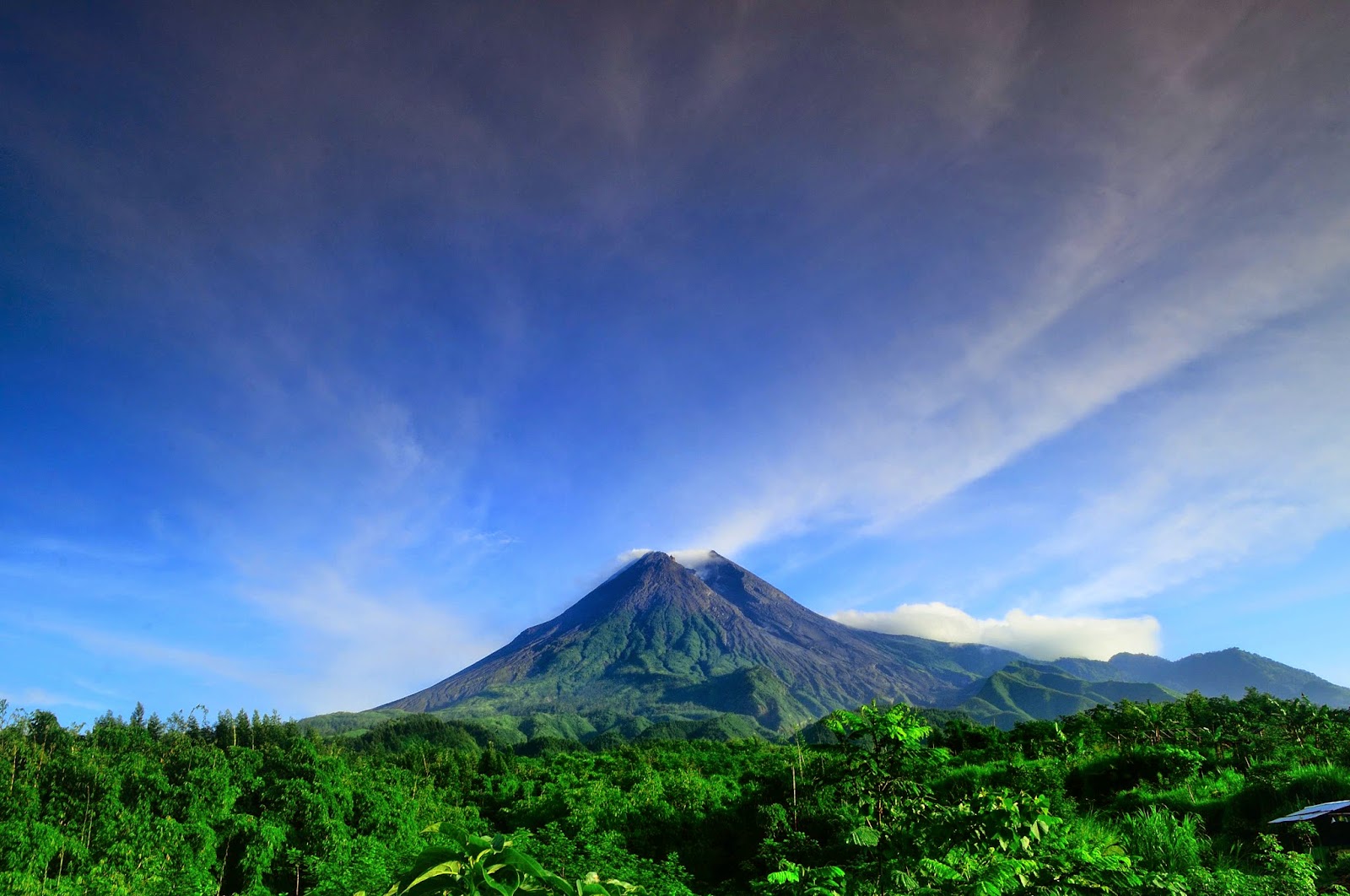 Eruptions Of Mount Merapi  Wikipedia CONTOH TEKS