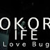 GABRIEL AFOLAYAN RELEASES MUSICAL VIDEO FOR HIS SINGLE, KOKORO IFE (LOVE BUG)