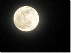 IMG_0003