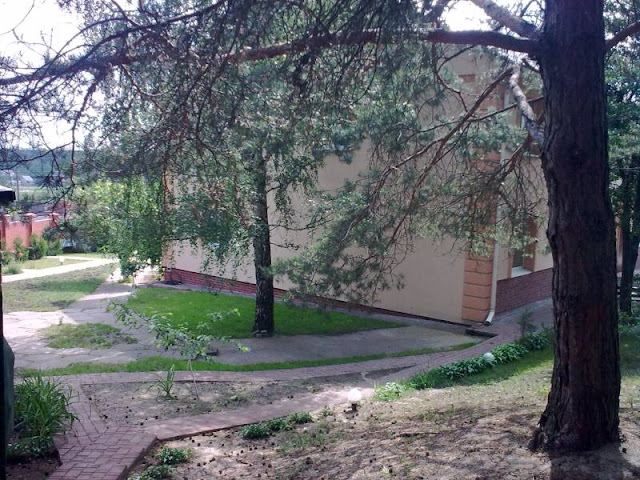 Three story house at the edge of a pine forest