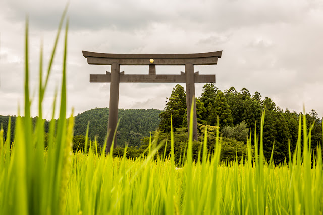 Oyunohara Torii :: Canon EOS5D MkIII | ISO200 | Canon 24-105@40mm | f/9.0 | 1/100s