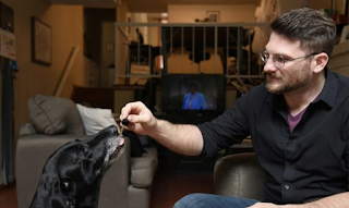 Medical marijuana woos four-legged fans