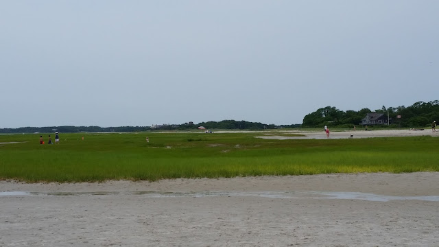 Cape Cod 2015 Trip Continued:  Skaket Beach, Baker's Pond, Outside Wellfleet Preservation Hall, and New England Aquarium --How Did I Get Here? My Amazing Genealogy Journey