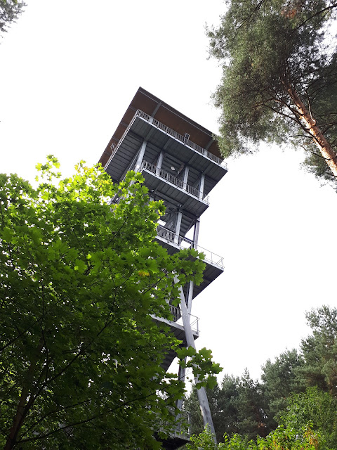 Lausitzer seenland aka Lusatian Lakeland View tower Senftenberger Lake