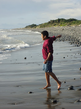 Will throwing rocks