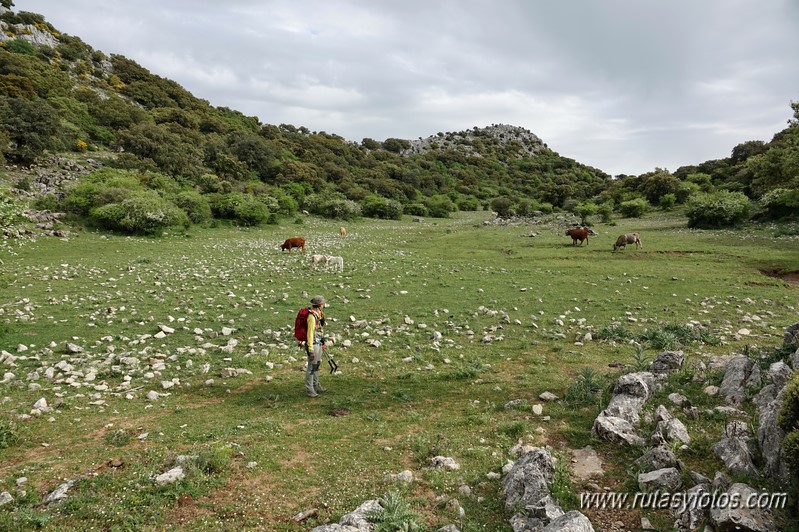 Nueve picos de la Sierra del Endrinal