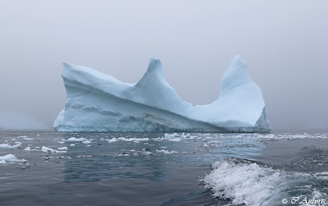 Iceberg, Savissivik, Groenland