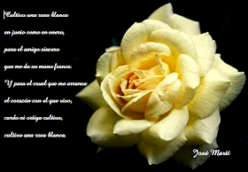 foto de una rosa sobre fondo negro, el texto del poema de Martí se halla impresionado en él