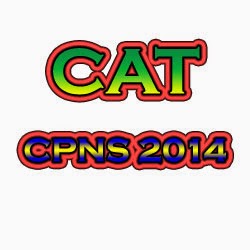 CAT CPNS 2014
