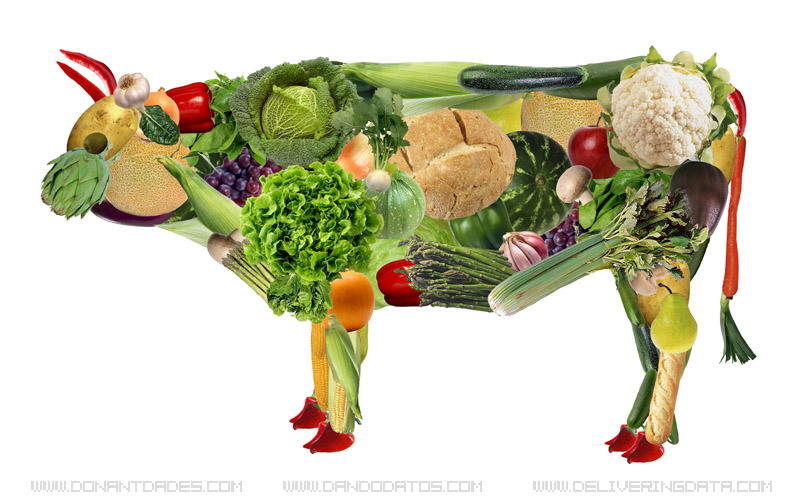 ... Vegetarian: Meatless in 6: The Easy 6 Week Plan to Become a Vegetarian