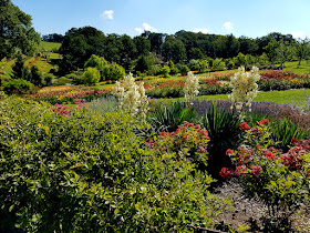 Rodzinne atrakcje na Dolnym Śląsku - Arboretum w Wojsławicach - podróże z dzieckiem. 